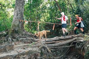 BIB: 
                            <button type="button" onclick="openModal(27742875)" class="btn btn-primary btn-sm float-right btn-popup" data-toggle="modal" data-target=".modal-high-quality">
                        <i class="fas fa-shopping-cart"></i> Add to Cart
                    </button>
                                            <button type="button" onclick="isThisMe(27742875, true)" class="btn btn-success btn-sm float-right btn-popup btn-isme hidden" data-toggle="tooltip" data-placement="bottom" title="นี่คือรูปของคุณใช่ไหม คลิกที่นี่เพื่อเอาเข้าอัลบั้ม">
                        <i class="fas fa-plus"></i> Add to album
                    </button>
                    <button type="button" onclick="isThisMe(27742875, false)" class="btn btn-warning btn-sm float-right btn-popup btn-isnotme hidden">
                        <i class="fas fa-ban"></i> Remove from album
                    </button>